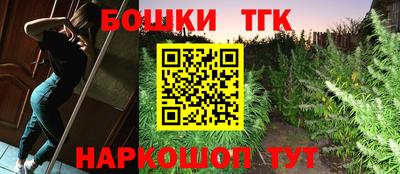 гидра Вышний Волочёк