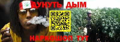 гидра Вышний Волочёк