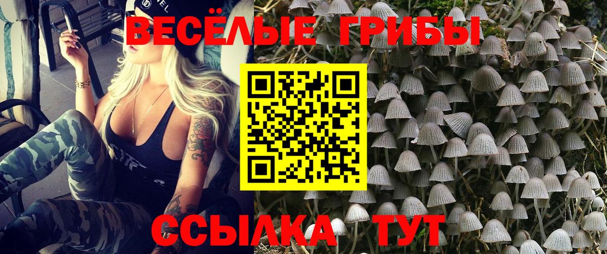 Галлюциногенные грибы мицелий Димитровград